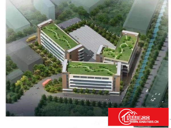 独栋花园式厂房，一楼带牛角，空地大，配套齐全，水电宿舍按需