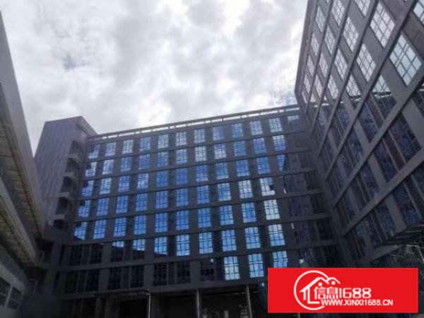 精装写字楼出租，100－1000平