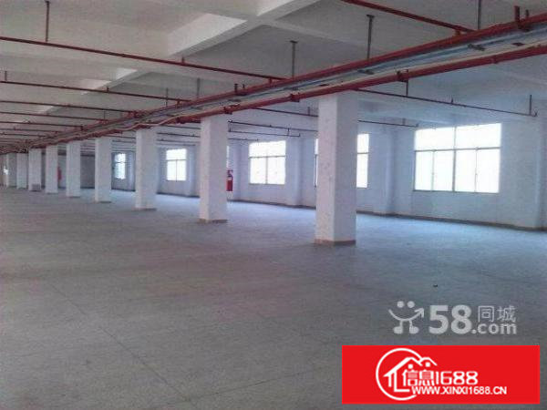 坂田龙壁工业区新出一楼1200平3楼2400平方