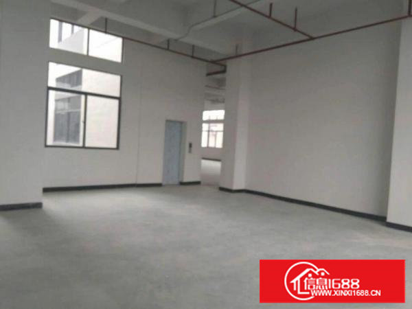 原房东新建无公摊九层单层800平厂房对外招租