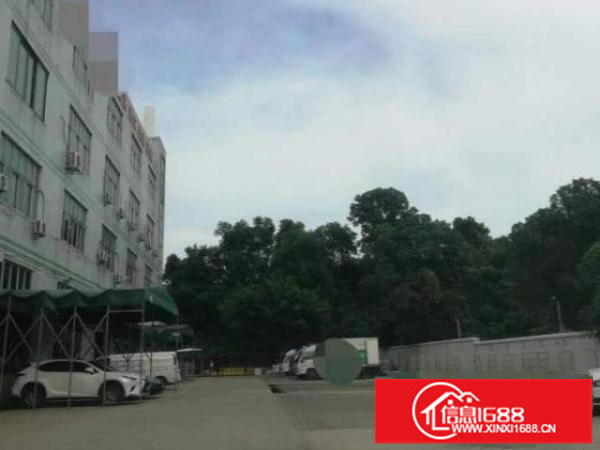 平湖白泥坑海吉星旁4处中央厨房，净菜，冷链出租900平起