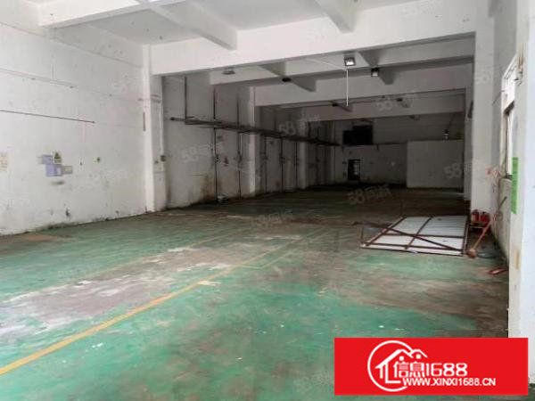 观澜福民原房东一楼厂房450高度5.5米证件齐全面积实在