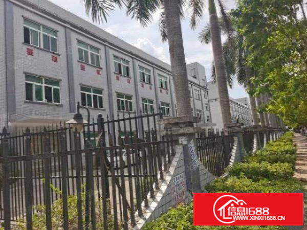 东莞凤岗原房东新出独院超大空地3000平厂房可整租分租