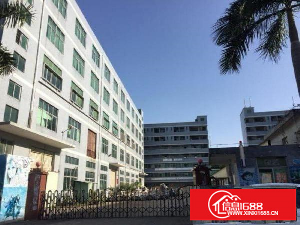 龙岗坪地中心村超靓独院厂房15000平米招租