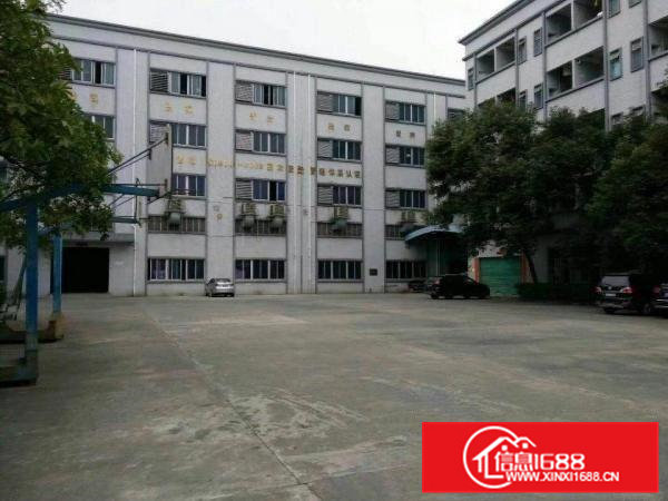 （实用面积800出租）常平元江元少数无公摊厂房出租