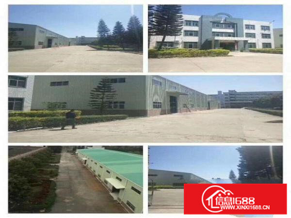 清溪花园式标准厂房2500平精装修招租