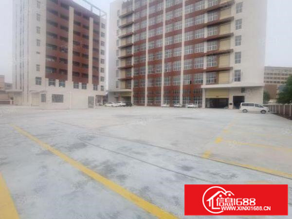 大岭山百花洞全新厂房出租，单层面积2000平，1000平起分