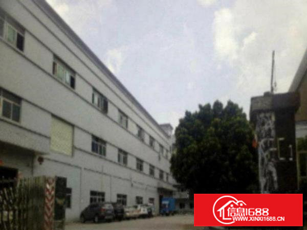 高埗花园独院厂房分租一楼800,形象好适合塑胶行业生产