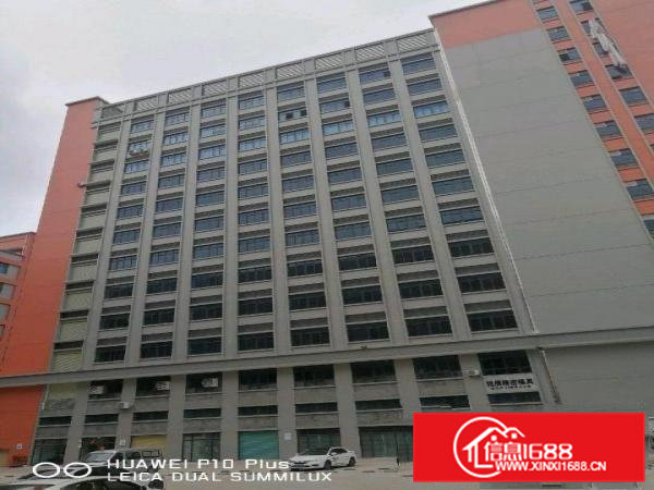 大朗一手厂房业主火爆招商