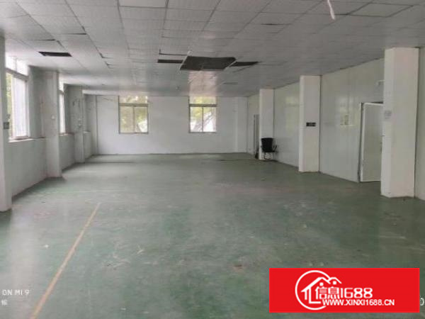 经典小独院！松岗沙浦二路125号整租1920平价格23