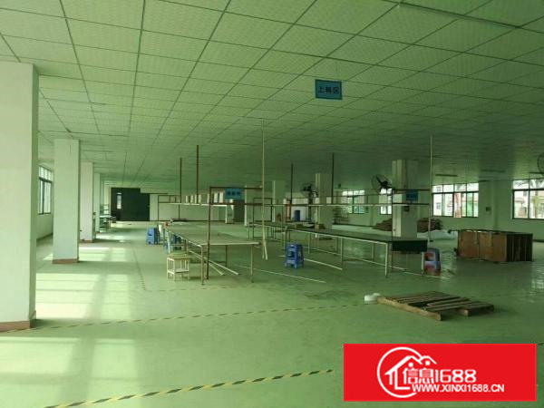 常平镇新出标准带单层厂房