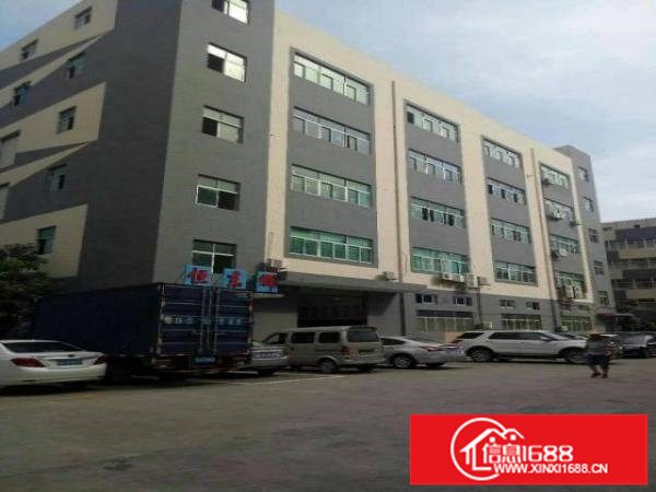 龙岗五联红本一楼1300平，层高6.5米，可分租