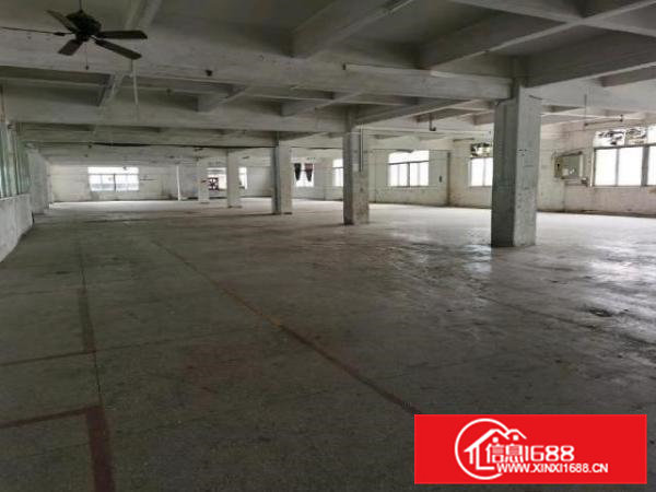 寮步镇原房东独院招租，带红本国土证！