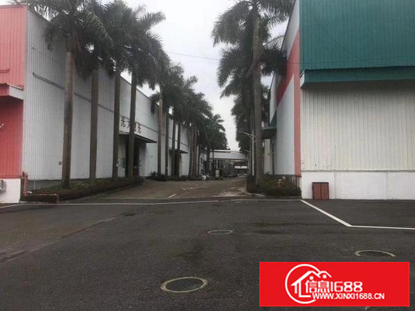 坪地原房东红本钢构厂房40000平米