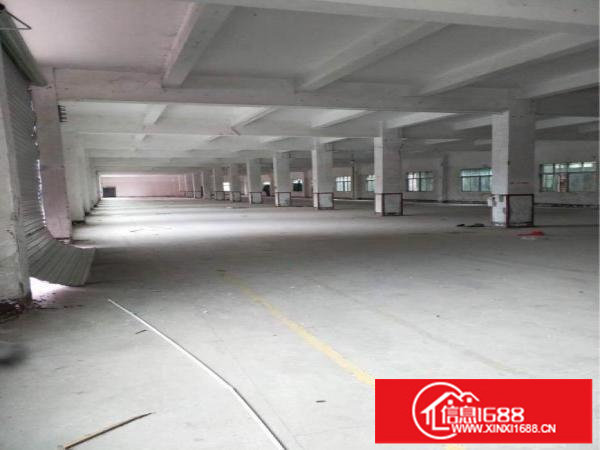 横岗大康社区独门独院厂房6400平方