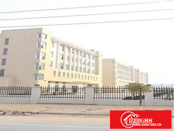 凤岗金凤凰新出无尘车间1100平方二楼