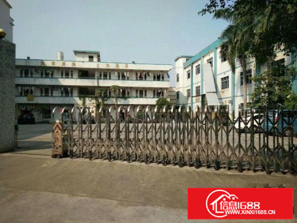 出租桥头镇原房东独院厂房总面积8000平方可分租