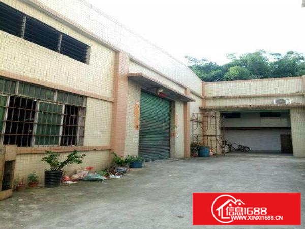 常平靠横沥独院钢构厂房1200平米出租