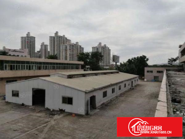 清溪大利原房东钢构标准厂房出租厂房分租，水电齐全，现成环评