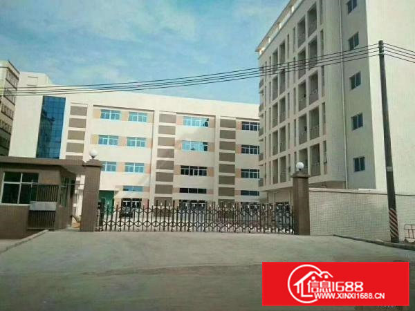 大岭山金桔村原房东独门独院8000平厂房出租工业用地可办环评