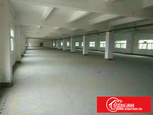 龙岗五联村委旁一楼1400平米独院厂房出租