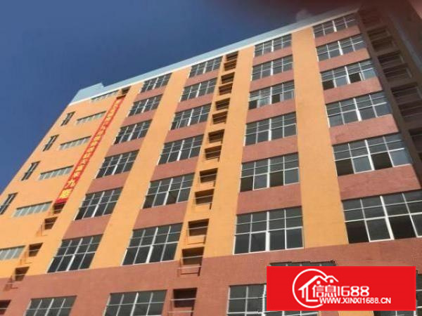 620方?顺德容桂天富来九期全新厂房