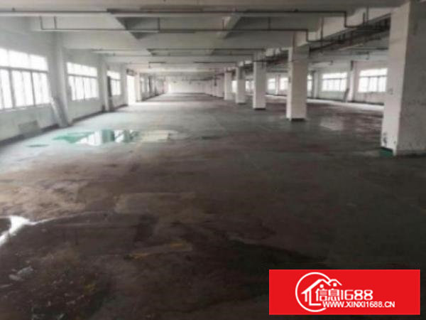 高埗二楼一整层1600平，???实际面积出租报价便宜