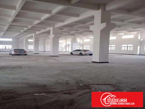 独门独院，全新标准厂房招租