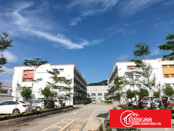 石岩塘头大道新出楼上520平精装修无转让费厂房出租