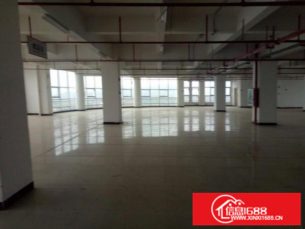 惠阳秋长原房东950平方厂房出租