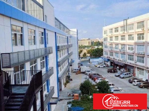 慢城尚鼎豪创意园一楼200平，600平