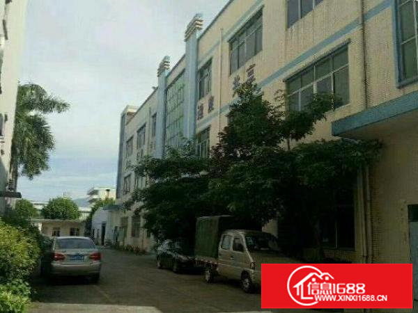 坪山碧岭工业园独院花园式村尾厂房4341平米招租