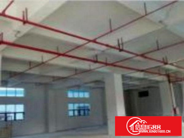 龙岗南联花园式厂房分租1楼厂房300平带卸货平台