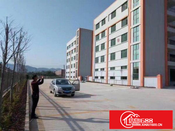 坪山新出独院厂房12000平方隆重招商