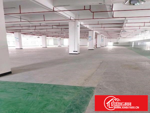 自建厂房出租2650平方可分租