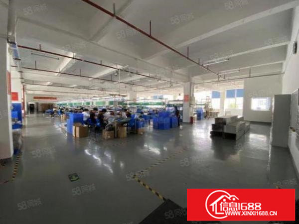 龙华大浪原房东工业园仓库厂房整层精装3807平分租300平起