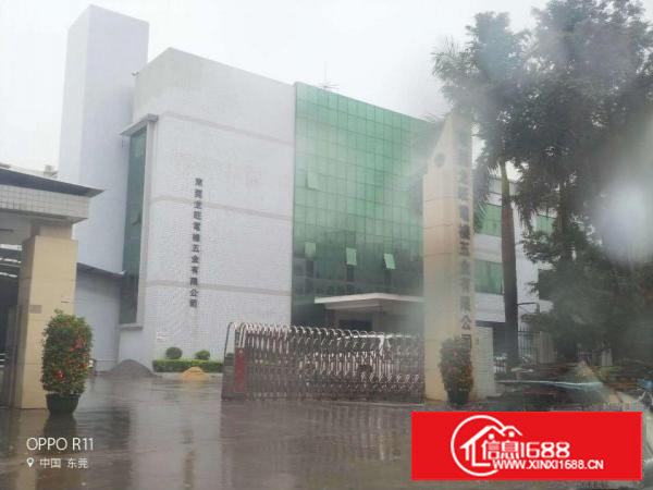 沿江高速长安厦岗原房东红本独院1000平起分租不堵车