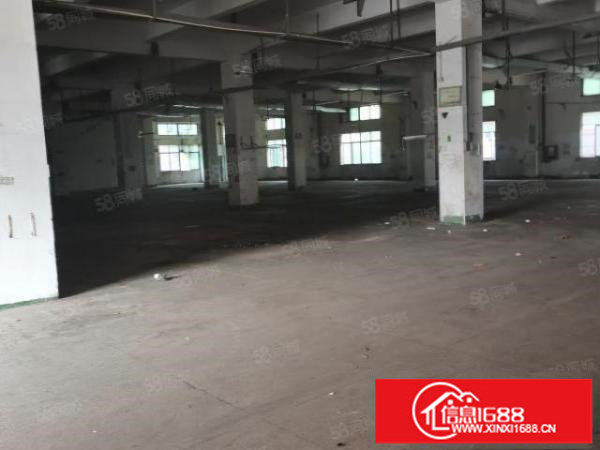 平湖海吉星附近独院3000平方厂房出租