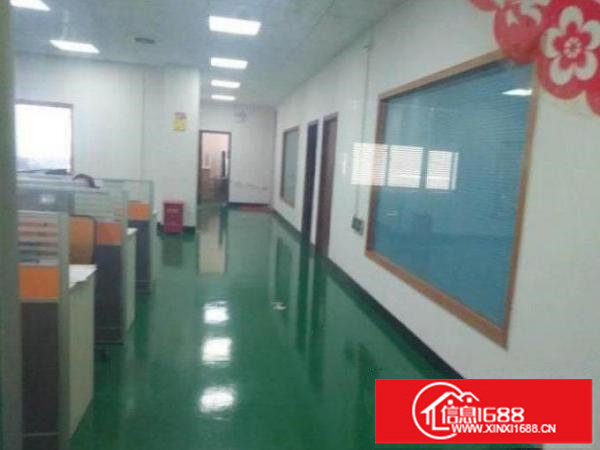 新出楼上1800平带装修特价厂房手慢无