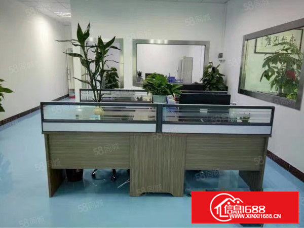 黄江镇中心新出楼上带无尘车间整层厂房1350平米