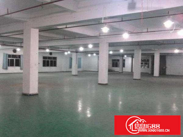 平湖平吉大道边上1200平方厂房仓库