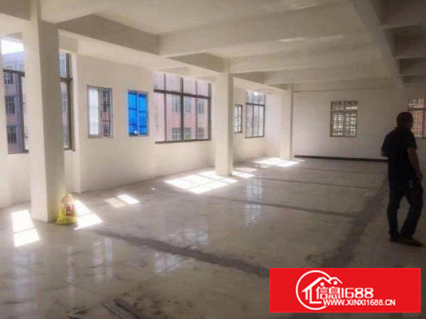 坂田工业区五层1750平厂房仓库可分租