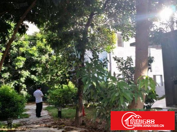 布吉红本独门独院标准厂房出租，合同期长，主干道边上，停车方便