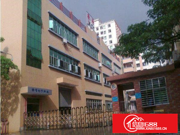 横岗水官高速一手靓盘分租二楼整层1600平方水电好地坪漆