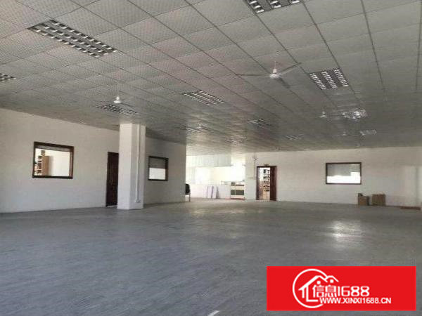 罗马无公摊办公室原房东独院标准厂房招租600平方