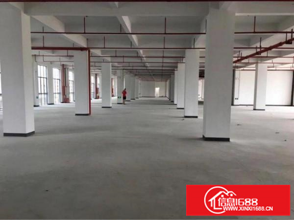 横岗厂房7005000平可分租