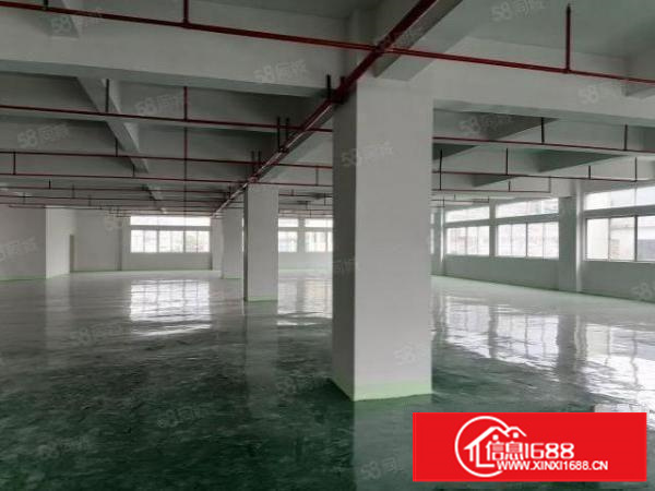 新出工业园1楼分租，可办环评，消防喷淋远离居民区有现成办公室