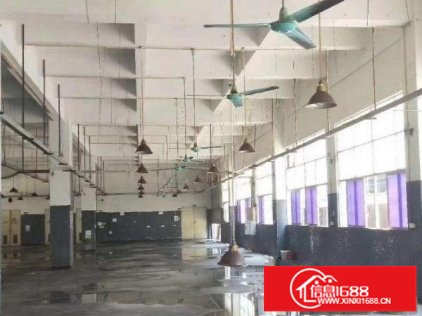 新出带装修无转让费厂房便宜出租大小分
