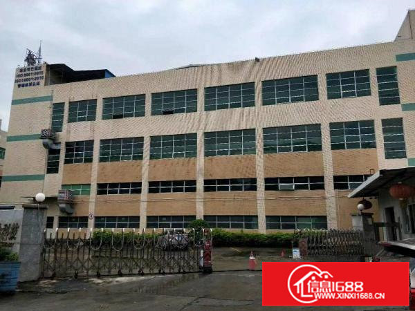 虎门南栅新出原房东独门独院6000平方厂房，可分租