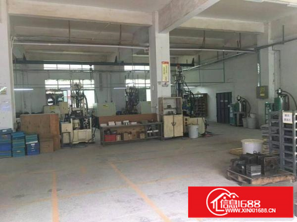 坪西标准一楼265平方高度五米已现成隔好